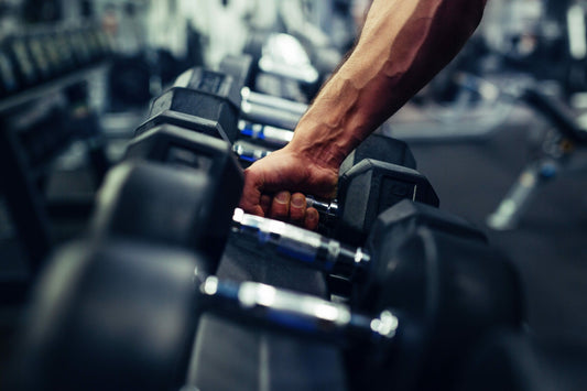 Pack Salle Elite — Programme musculation salle